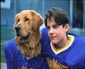 Air Bud: Golden Receiver Photo 3 - Large
