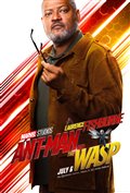 Ant-Man and The Wasp Photo