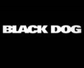 Black Dog Photo 1 - Large