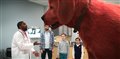 Clifford the Big Red Dog Photo