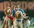 Daniel and the Superdogs Photo 1 - Large