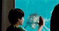 Dolphin Tale Photo