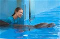 Dolphin Tale Photo