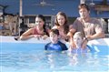 Dolphin Tale Photo