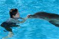 Dolphin Tale Photo