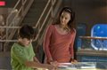 Dolphin Tale Photo