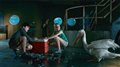 Dolphin Tale Photo