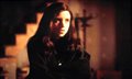 Ginger Snaps Photo