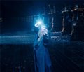 Harry Potter and the Order of the Phoenix Photo