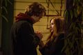 If I Stay Photo
