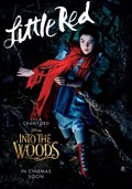 Into the Woods Photo