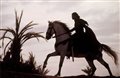 Kingdom of Heaven Photo