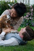 Lady and the Tramp (Disney+) Photo