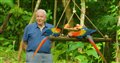 Life in Color with David Attenborough (Netflix) Photo