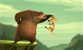 Open Season Photo