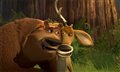 Open Season Photo