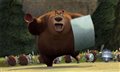 Open Season Photo