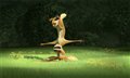Open Season Photo