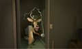 Open Season Photo