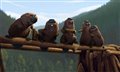 Open Season Photo