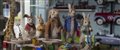 Peter Rabbit 2: The Runaway Photo