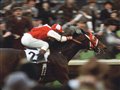 Seabiscuit Photo