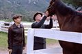 Seabiscuit Photo