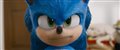 Sonic the Hedgehog Photo