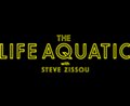 The Life Aquatic With Steve Zissou (v.f.) Photo 41 - Grande