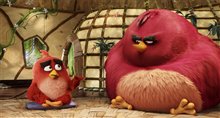 Angry Birds : Le film Photo 26
