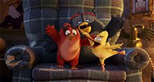 Angry Birds : Le film Photo 28