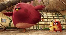 Angry Birds : Le film Photo 30