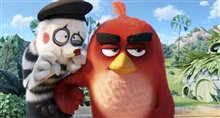 Angry Birds : Le film Photo 38