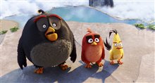 Angry Birds : Le film Photo 40