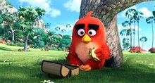 Angry Birds : Le film Photo 1