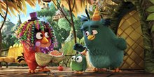 Angry Birds : Le film Photo 18