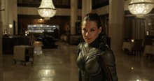 Ant-Man and The Wasp Photo 3