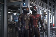 Ant-Man and The Wasp Photo 5