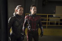 Ant-Man and The Wasp Photo 8