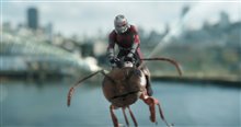 Ant-Man and The Wasp Photo 10