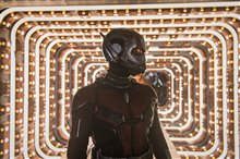 Ant-Man and The Wasp Photo 24