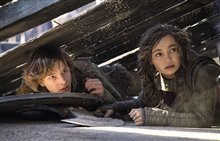 Dragons Photo 3