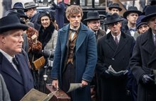 Fantastic Beasts and Where to Find Them Photo 7