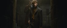 Fantastic Beasts: The Crimes of Grindelwald Photo 17
