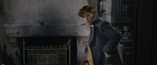 Fantastic Beasts: The Crimes of Grindelwald Photo 27