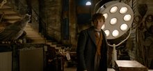 Fantastic Beasts: The Crimes of Grindelwald Photo 75