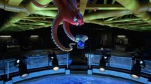 Finding Dory Photo 19