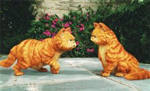 Garfield: A Tail of Two Kitties Photo 16
