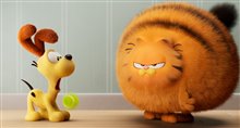Garfield : Le film Photo 1