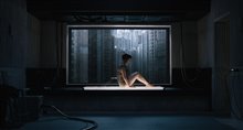 Ghost in the Shell : Le film Photo 1